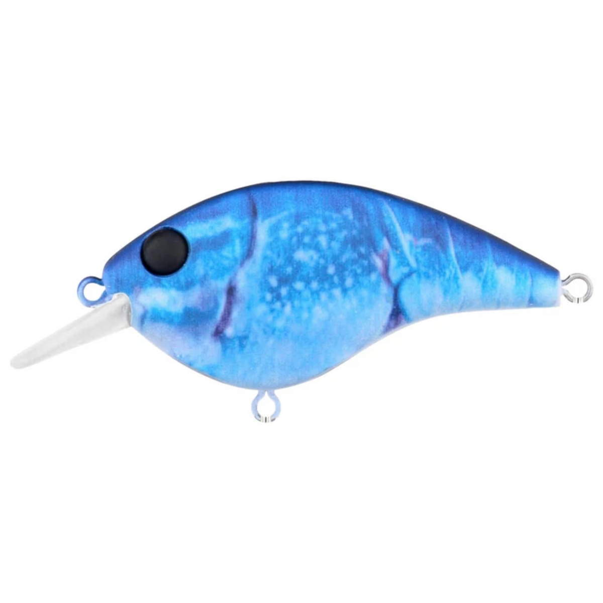 Berkley | Frittside 5 Biggun