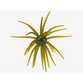 Hag's Baits | Prickly Pear