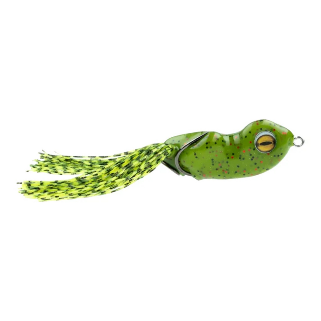Scum Frog | Small Dog