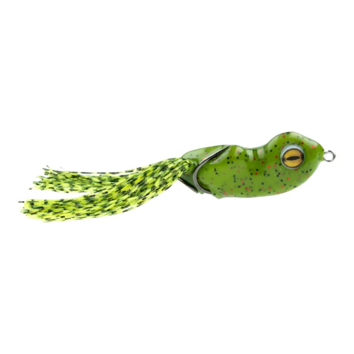 Scum Frog | Small Dog